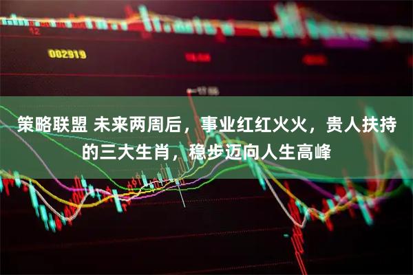 策略联盟 未来两周后，事业红红火火，贵人扶持的三大生肖，稳步迈向人生高峰