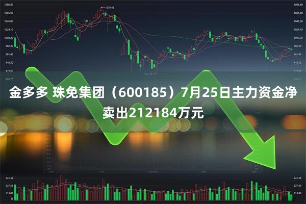 金多多 珠免集团（600185）7月25日主力资金净卖出212184万元