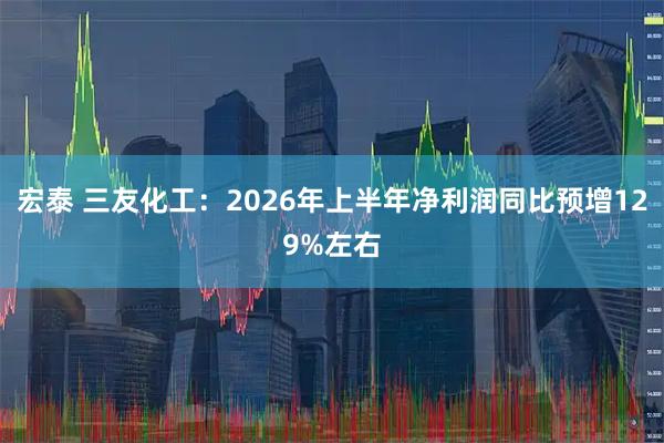 宏泰 三友化工：2026年上半年净利润同比预增129%左右