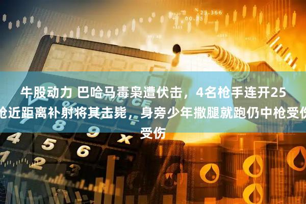 牛股动力 巴哈马毒枭遭伏击，4名枪手连开25枪近距离补射将其击毙，身旁少年撒腿就跑仍中枪受伤